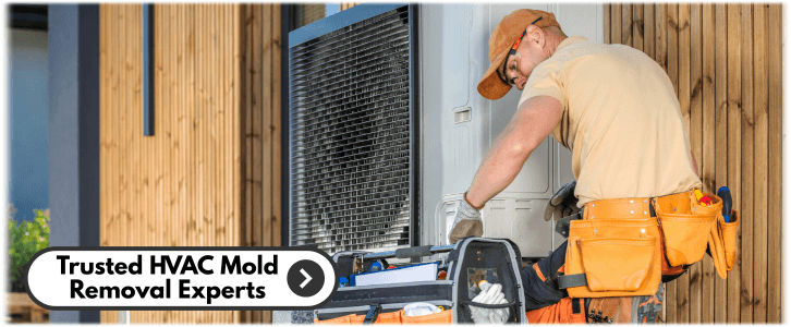 HVAC Mold Removal Apache Junction AZ
